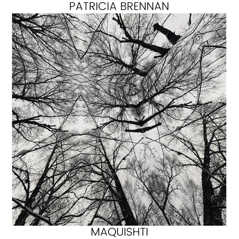 Cover image for Maquishti by Patricia Brennan